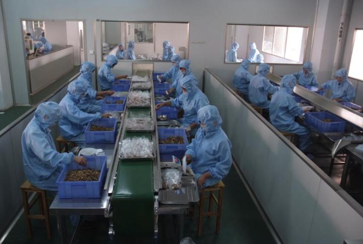 萬級(jí)藥廠潔凈車間