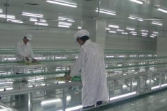 食品凈化車(chē)間建材的選取與要求